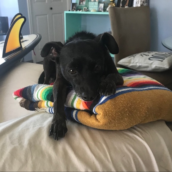 π¦ All $5 items available for bundle of 3 or more only to make it worth to ship - Picture 5 of 16